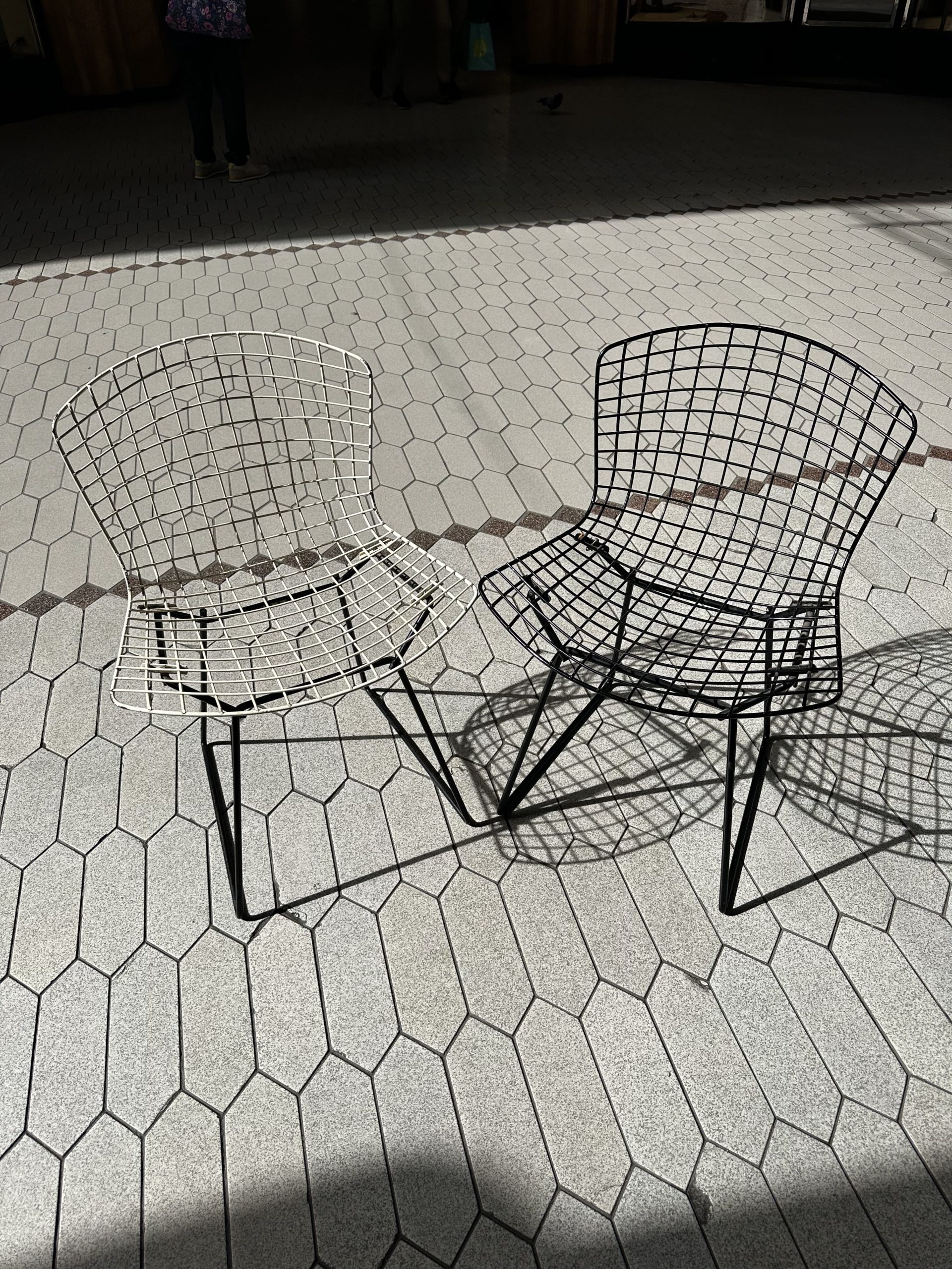 Chaises• Knoll Bertoia