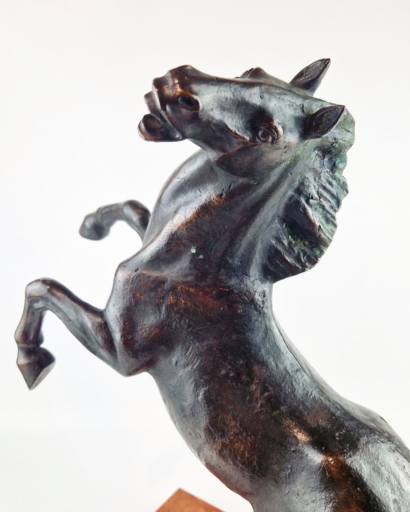 Auroremorisse-art-antiquités-antiquaire-collection-liege-art-affaire-conclue-vintage-bronze-sculture-cheval2