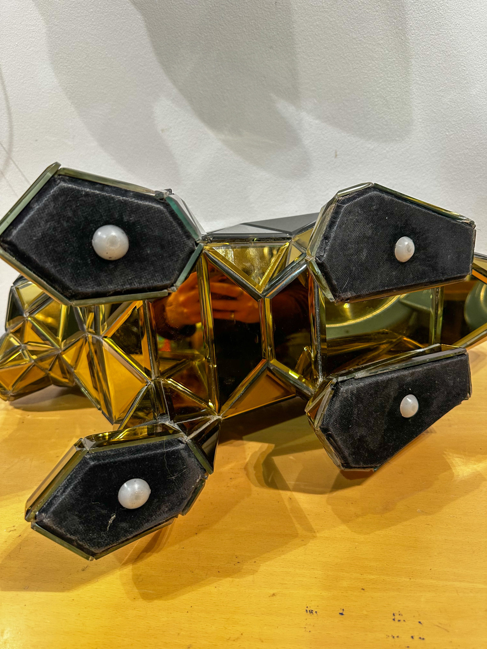 IMG_1434aurore morisse affaire conclue décoration chien miroir chrome intérieur animal moderne contemporain belge 21e siècle